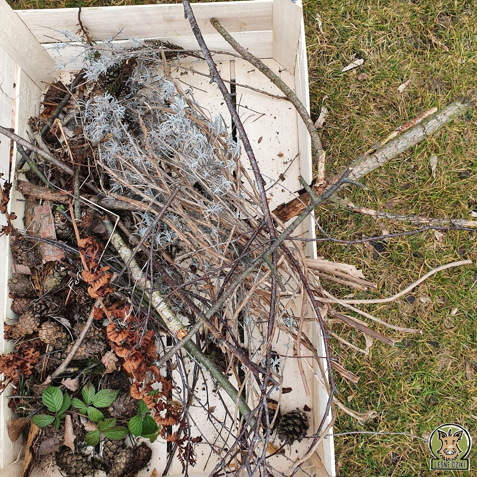 dziecko_przyroda_przedszkole