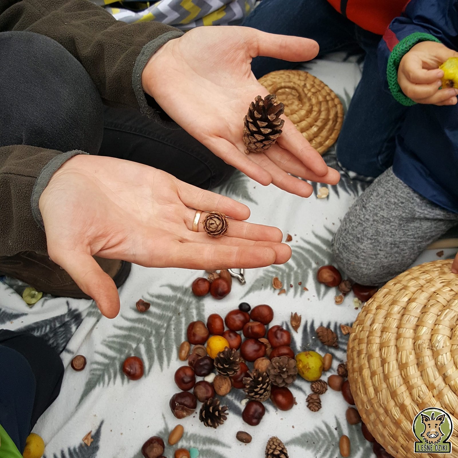 edukacja przyrodnicza